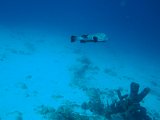 2015-03-24 16-58-13